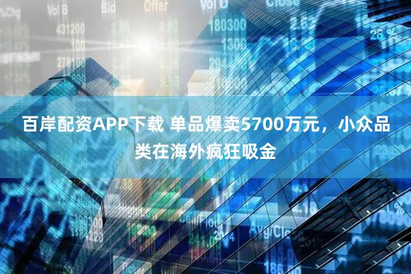百岸配资APP下载 单品爆卖5700万元，小众品类在海外疯狂吸金