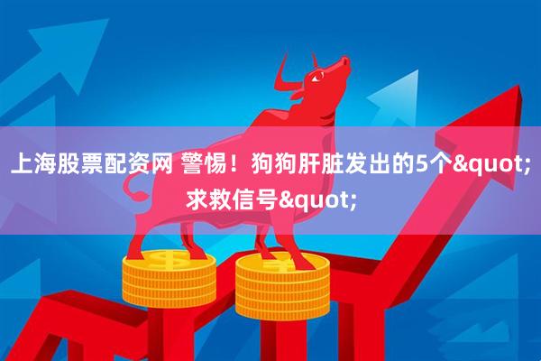 上海股票配资网 警惕！狗狗肝脏发出的5个"求救信号"