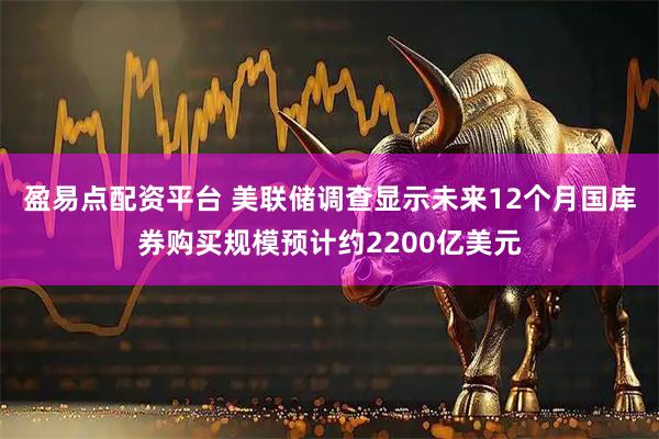 盈易点配资平台 美联储调查显示未来12个月国库券购买规模预计约2200亿美元