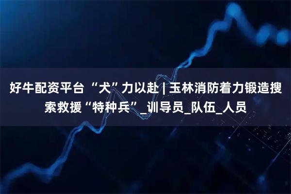 好牛配资平台 “犬”力以赴 | 玉林消防着力锻造搜索救援“特种兵”_训导员_队伍_人员