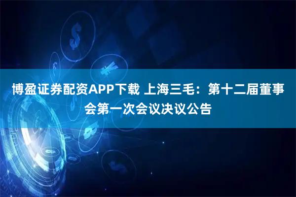 博盈证券配资APP下载 上海三毛：第十二届董事会第一次会议决议公告